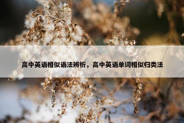 高中英语相似语法辨析，高中英语单词相似归类法