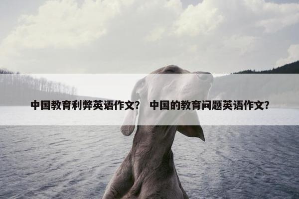 中国教育利弊英语作文？ 中国的教育问题英语作文？