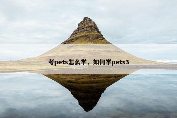 考pets怎么学，如何学pets3