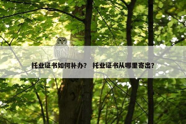 托业证书如何补办？ 托业证书从哪里寄出？