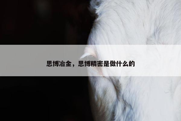 思博冶金，思博精密是做什么的