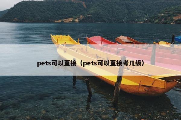 pets可以直接（pets可以直接考几级）