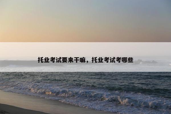 托业考试要来干嘛，托业考试考哪些