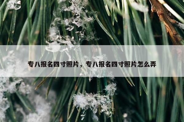 专八报名四寸照片，专八报名四寸照片怎么弄