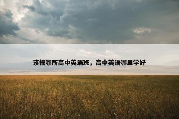 该报哪所高中英语班，高中英语哪里学好