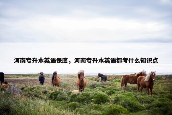河南专升本英语保底，河南专升本英语都考什么知识点