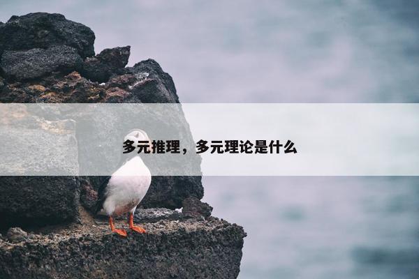 多元推理，多元理论是什么
