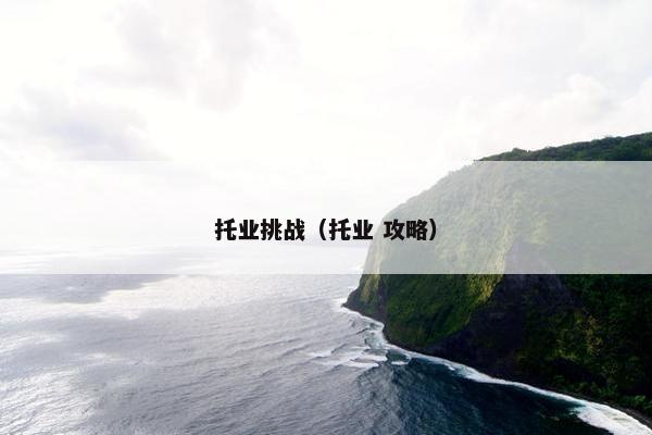 托业挑战（托业 攻略）