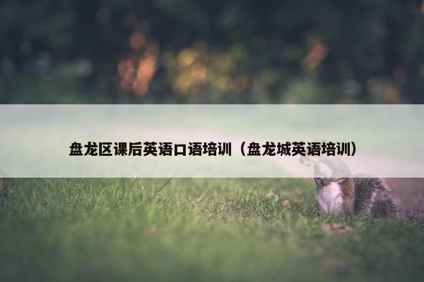 盘龙区课后英语口语培训（盘龙城英语培训）