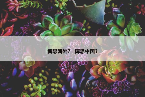 博思海外？ 博思中国？