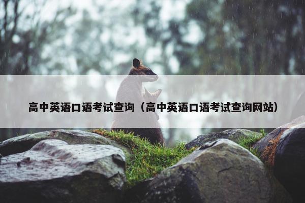高中英语口语考试查询（高中英语口语考试查询网站）