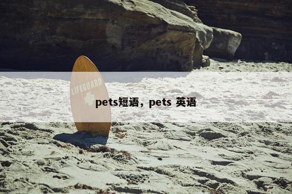 pets短语，pets 英语