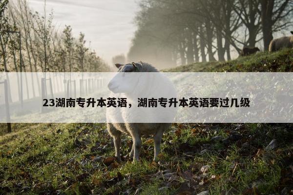 23湖南专升本英语，湖南专升本英语要过几级