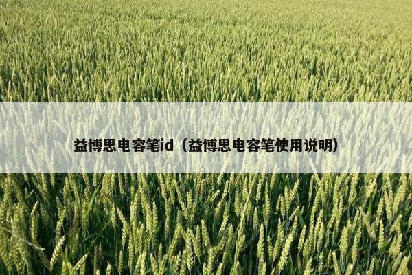 益博思电容笔id（益博思电容笔使用说明）