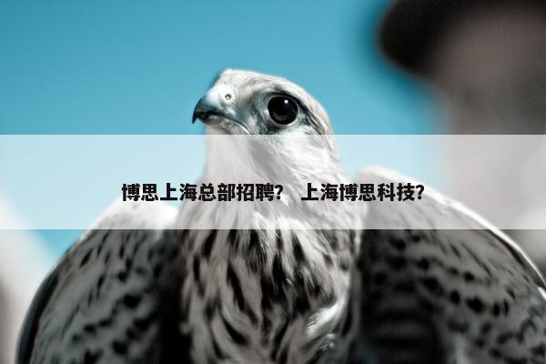 博思上海总部招聘？ 上海博思科技？