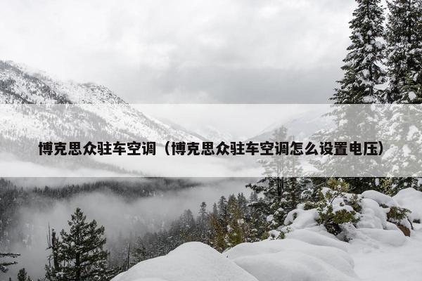 博克思众驻车空调（博克思众驻车空调怎么设置电压）