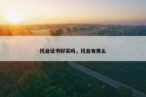托业证书好买吗，托业有用么