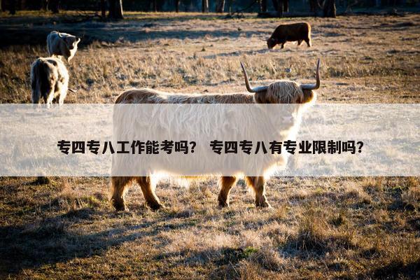 专四专八工作能考吗？ 专四专八有专业限制吗？