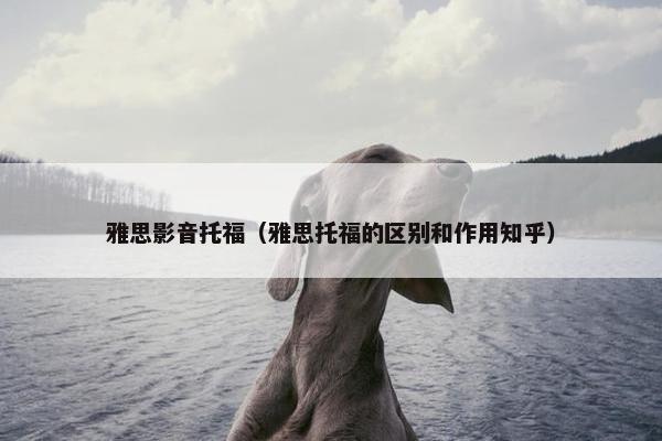 雅思影音托福（雅思托福的区别和作用知乎）