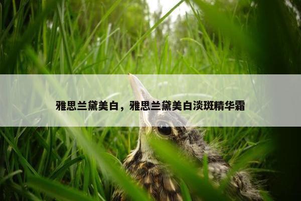 雅思兰黛美白，雅思兰黛美白淡斑精华霜