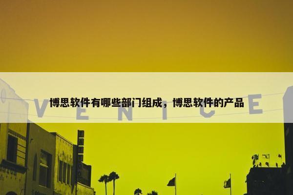 博思软件有哪些部门组成，博思软件的产品