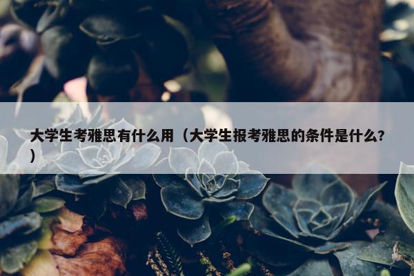 大学生考雅思有什么用（大学生报考雅思的条件是什么?）