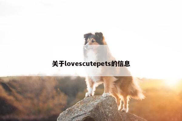关于lovescutepets的信息