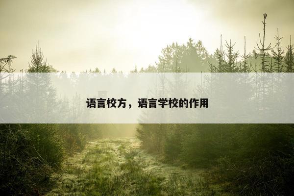 语言校方，语言学校的作用