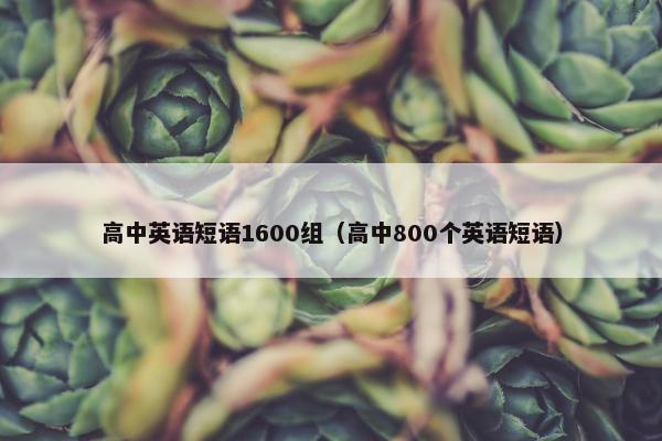 高中英语短语1600组（高中800个英语短语）