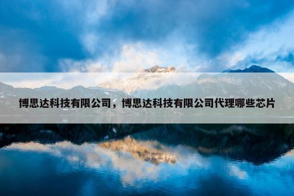 博思达科技有限公司，博思达科技有限公司代理哪些芯片