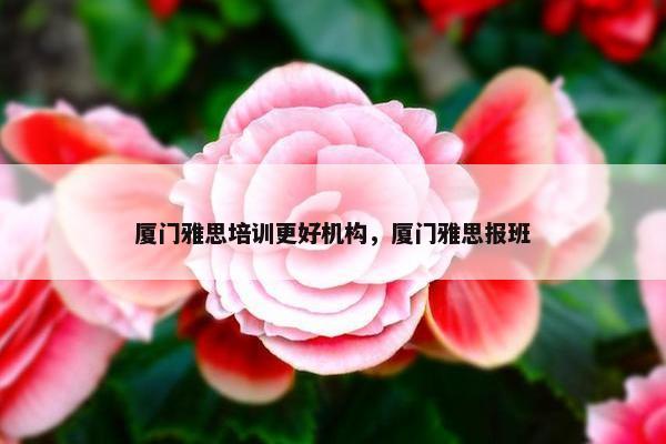 厦门雅思培训更好机构，厦门雅思报班