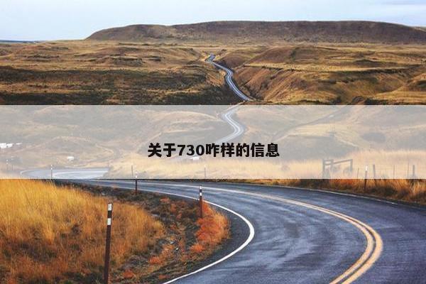 关于730咋样的信息