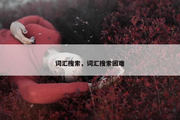 词汇搜索，词汇搜索困难