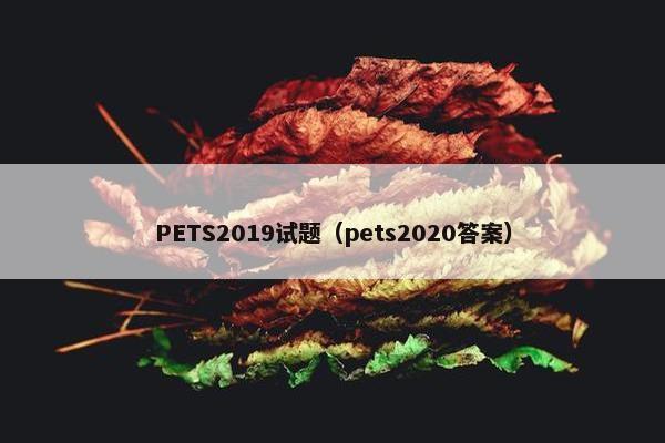 PETS2019试题（pets2020答案）