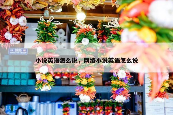 小说英语怎么说，网络小说英语怎么说