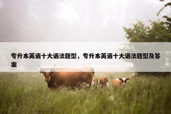 专升本英语十大语法题型，专升本英语十大语法题型及答案