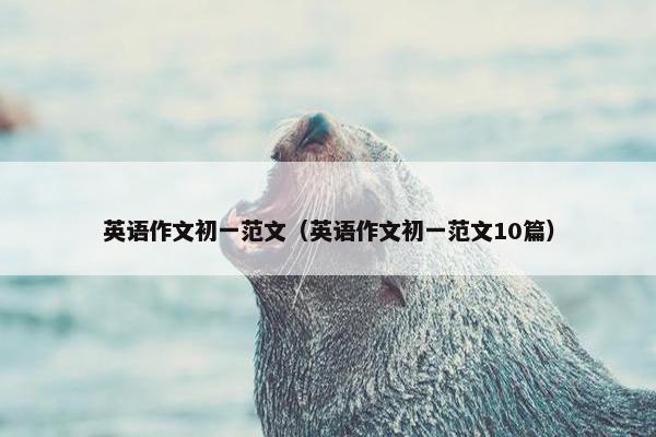 英语作文初一范文（英语作文初一范文10篇）