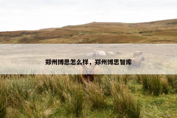 郑州博思怎么样，郑州博思智库