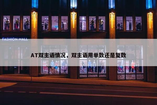 AT双主语情况，双主语用单数还是复数