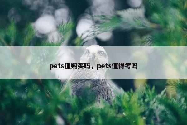 pets值购买吗，pets值得考吗