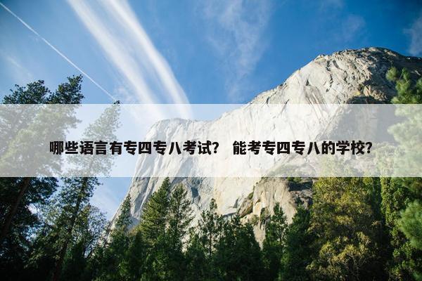 哪些语言有专四专八考试？ 能考专四专八的学校？