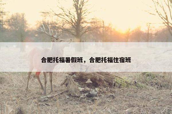 合肥托福暑假班，合肥托福住宿班