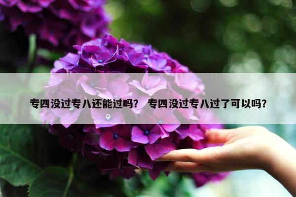 专四没过专八还能过吗？ 专四没过专八过了可以吗？