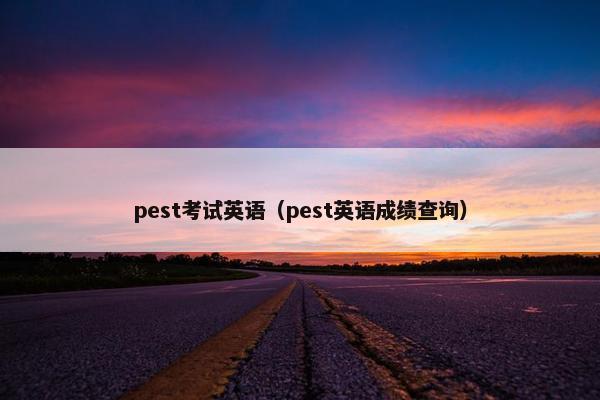 pest考试英语（pest英语成绩查询）