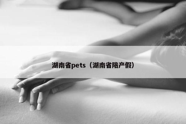 湖南省pets（湖南省陪产假）