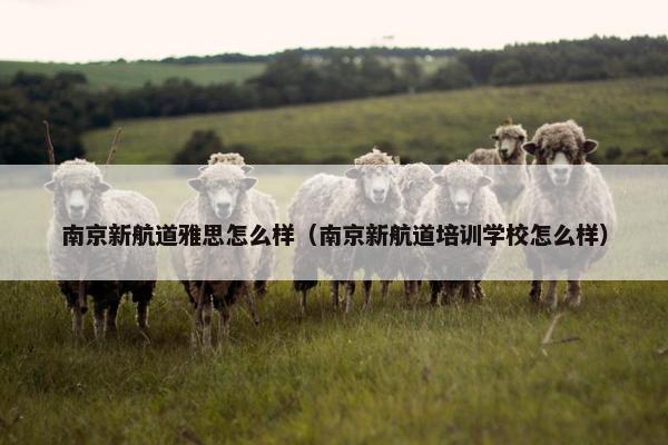 南京新航道雅思怎么样（南京新航道培训学校怎么样）