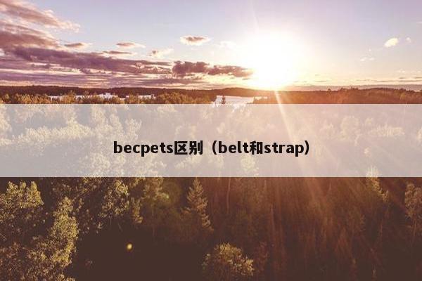 becpets区别（belt和strap）