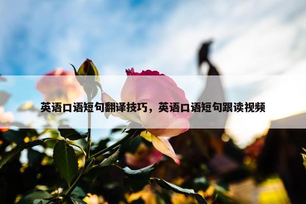 英语口语短句翻译技巧，英语口语短句跟读视频