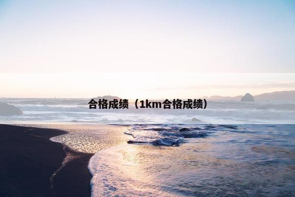 合格成绩(1km合格成绩)