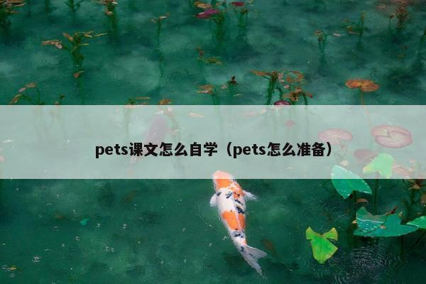 pets课文怎么自学(pets怎么准备)